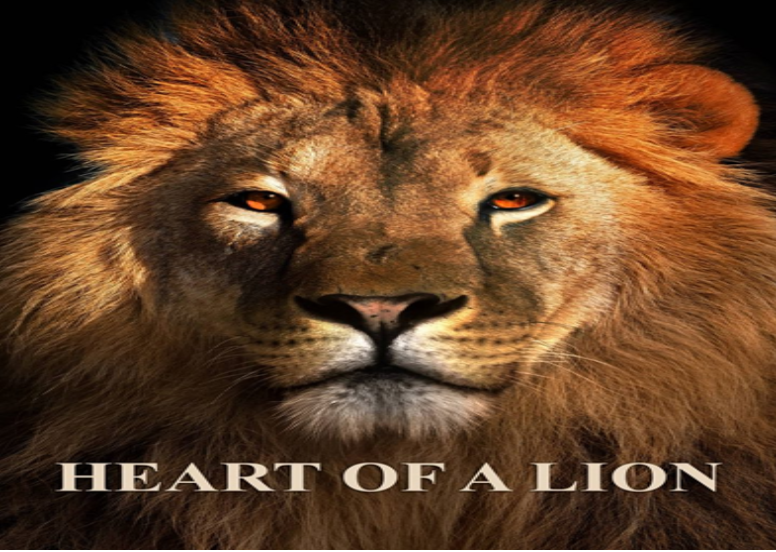 David: The Heart of a Lion